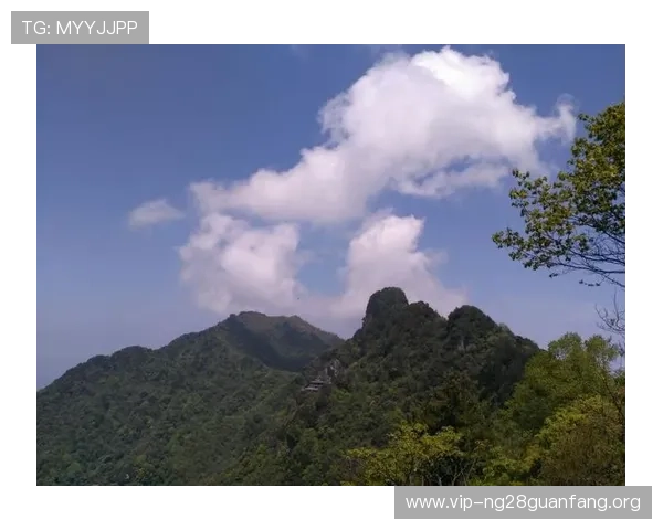 南宫体育app赛事提醒设置方法,确保不错过任何重要比赛时间 南宫体育app赛事提醒设置方法,确保不错过任何重要比赛时间