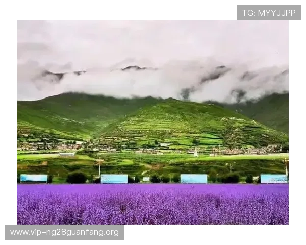 南宫旗下28圈：如何利用平台优势提升游戏体验与拓展玩家社群