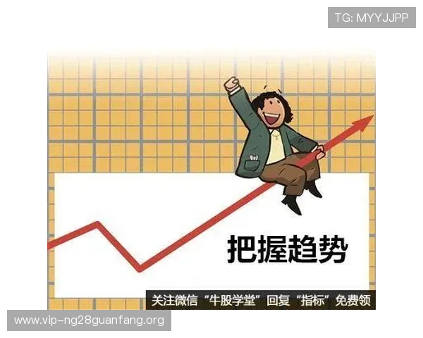 南宫娱乐未来发展规划与创新方向分析助你把握行业趋势实现持续盈利